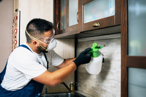 Best Affordable Pest Control Services  in Gladeview, FL