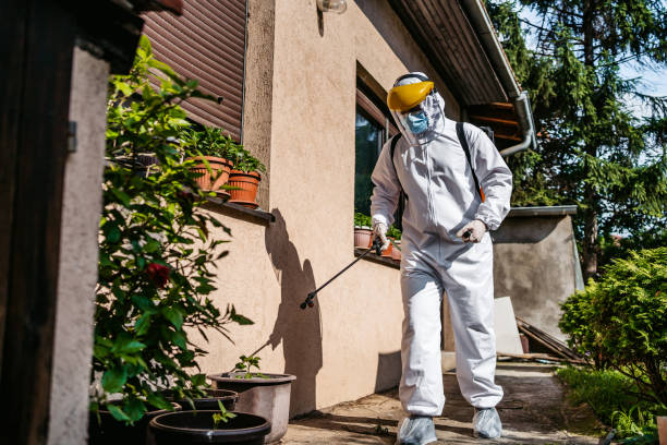 Best Flea Control Services  in Gladeview, FL