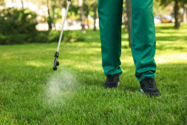 Best Cockroach Control Services  in Gladeview, FL