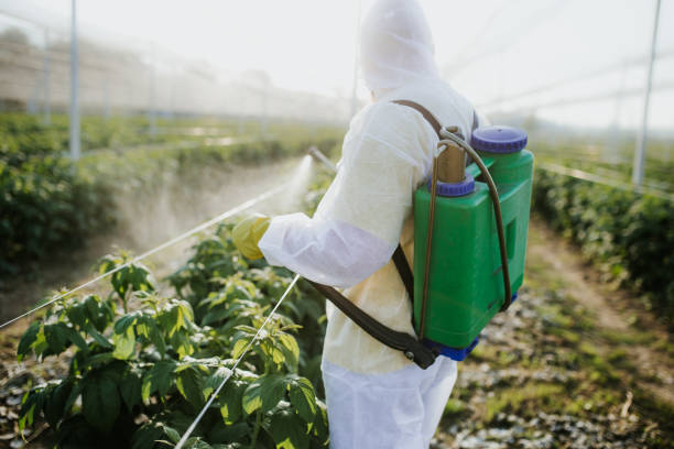 Best Best Pest Control Companies  in Gladeview, FL